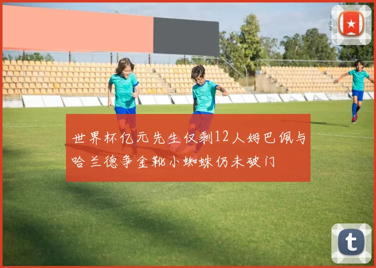 世界杯亿元先生仅剩12人姆巴佩与哈兰德争金靴小蜘蛛仍未破门