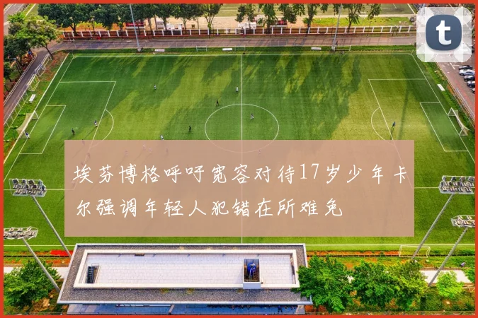 埃芬博格呼吁宽容对待17岁少年卡尔强调年轻人犯错在所难免