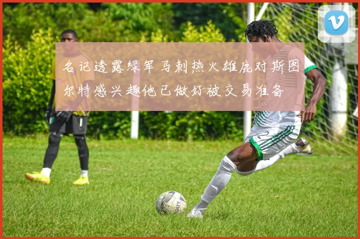 名记透露绿军马刺热火雄鹿对斯图尔特感兴趣他已做好被交易准备