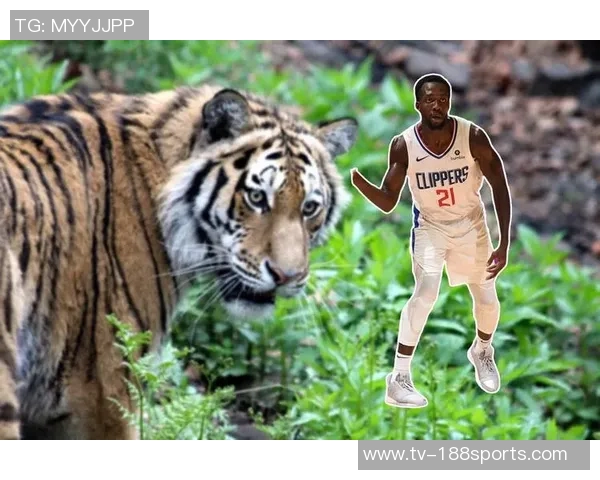 谢泼德分享抢断技巧:凭借本能与传球路线阅读提升防守能力 谢泼德分享抢断技巧:凭借本能与传球路线阅读提升防守能力